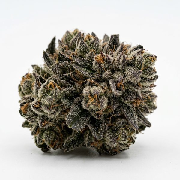 Detroit Runtz BX cannabis strain