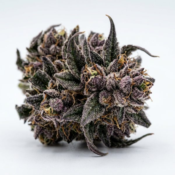 Grandi Runtz cannabis strain