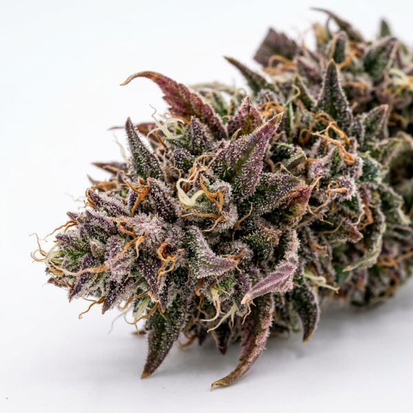 Halle Berry Runtz cannabis strain