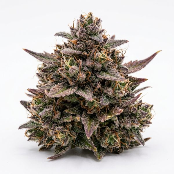 Pink Panties x Runtz cannabis strain