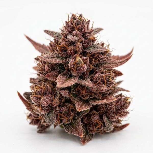 Red Forbidden Runtz cannabis strain