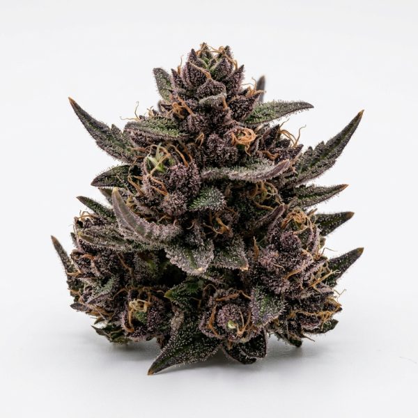 Rumble Runtz cannabis strain