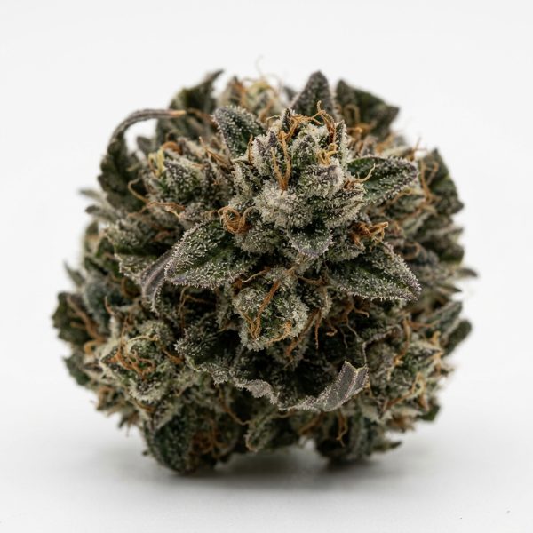 Sensei Runtz cannabis strain