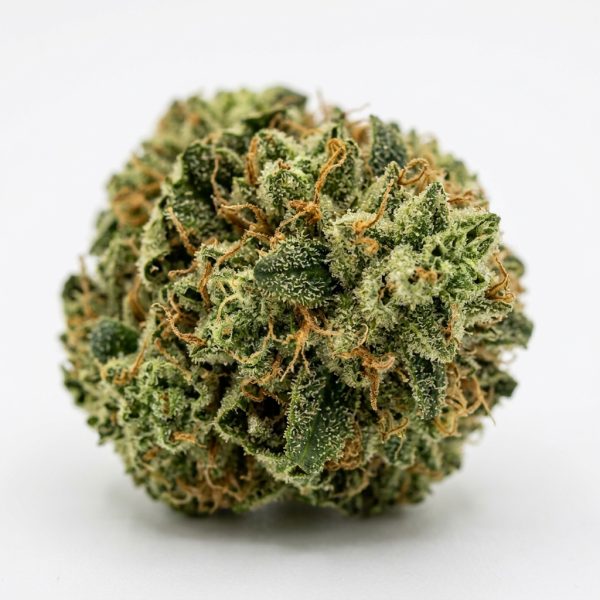 Wasabi Runtz cannabis strain
