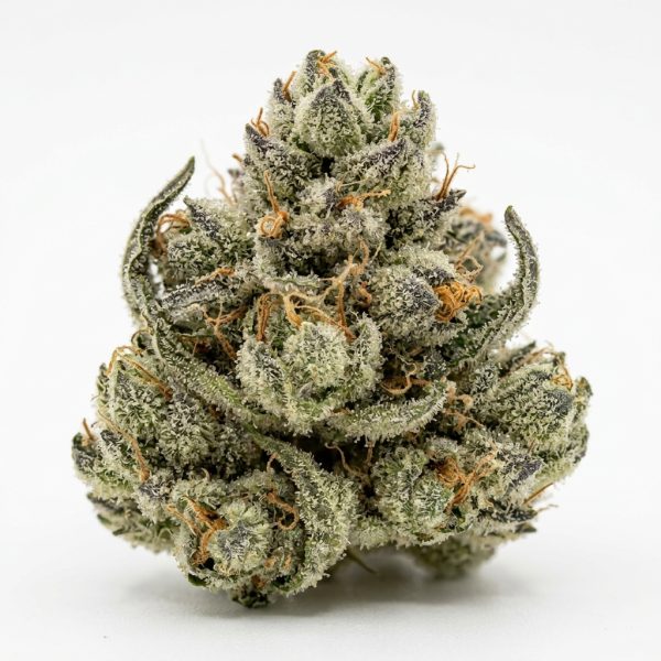 White Runtz Sauce cannabis strain